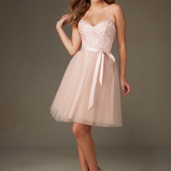 Madeline Gardener Dresses & Skirts - Dusty Pink Ballerina Style Morille Dress Sz 8